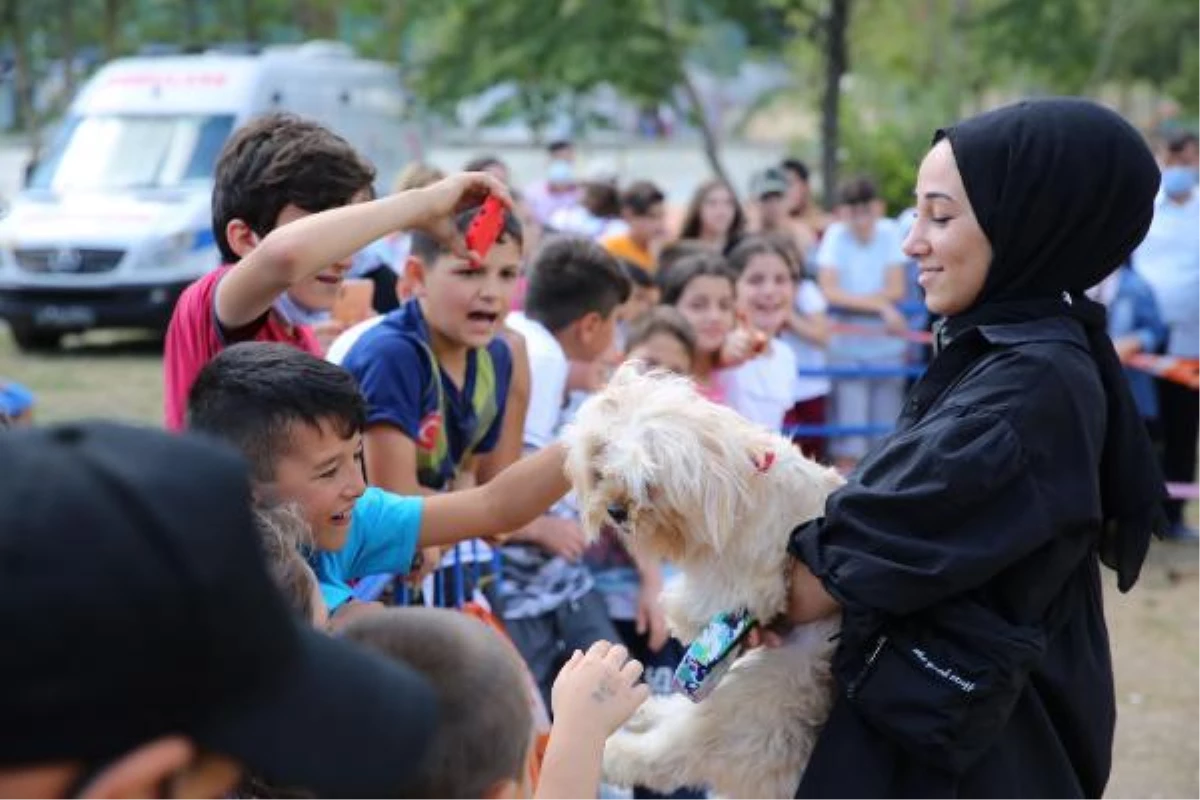 Pati Festivali renkli görüntülere sahne oldu