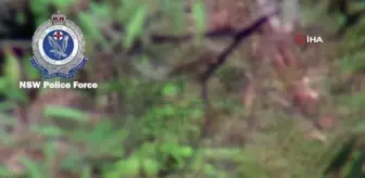 Avustralya'da kaybolan 3 yaşındaki çocuk 4 gün sonra su içerken kurtarıldı