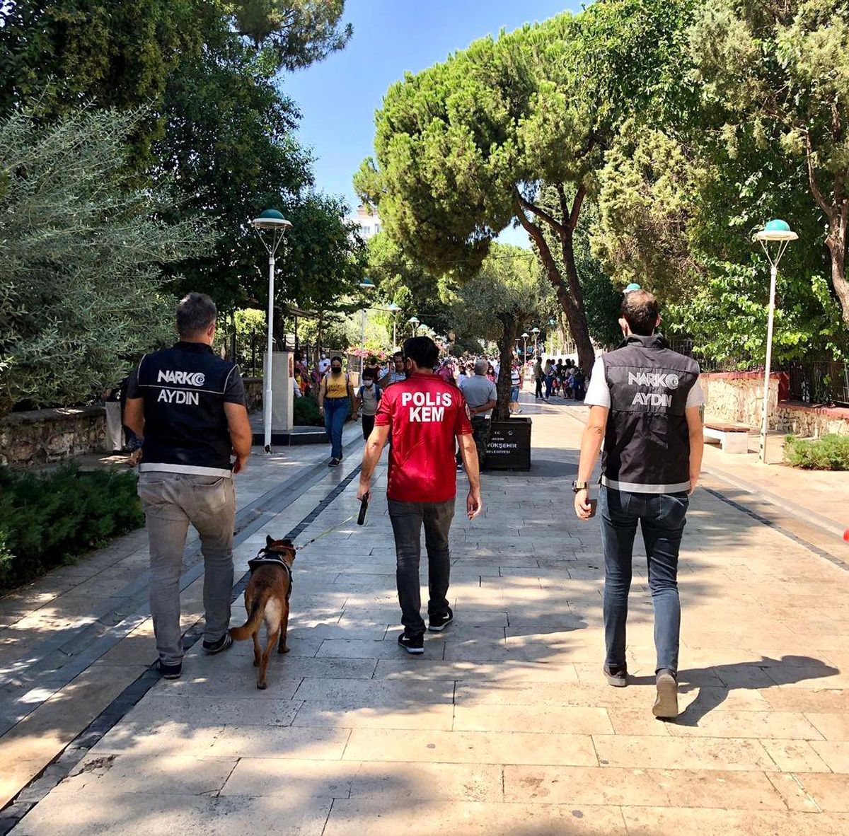 Son dakika haberi... Aydın\'da narkotik polisi okul çevresinde göz açtırmıyor
