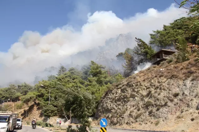 Son dakika haberleri! Habib-i Neccar Dağı eteklerinde çıkan orman yangını kontrol altına alındı