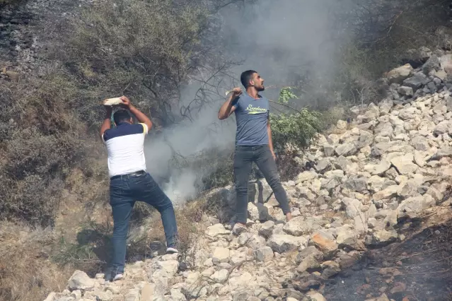 Son dakika haberleri! Habib-i Neccar Dağı eteklerinde çıkan orman yangını kontrol altına alındı