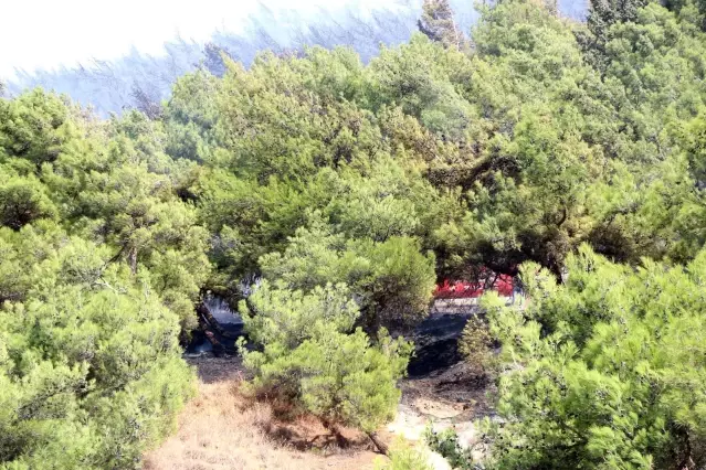 Hatay'da orman yangını Hatay'da orman yangını