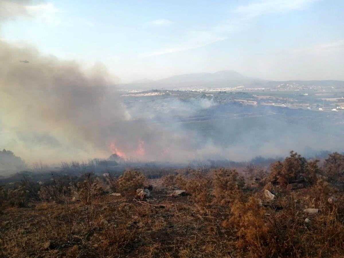 İzmir\'de makilik alanda çıkan yangın kontrol altına alındı