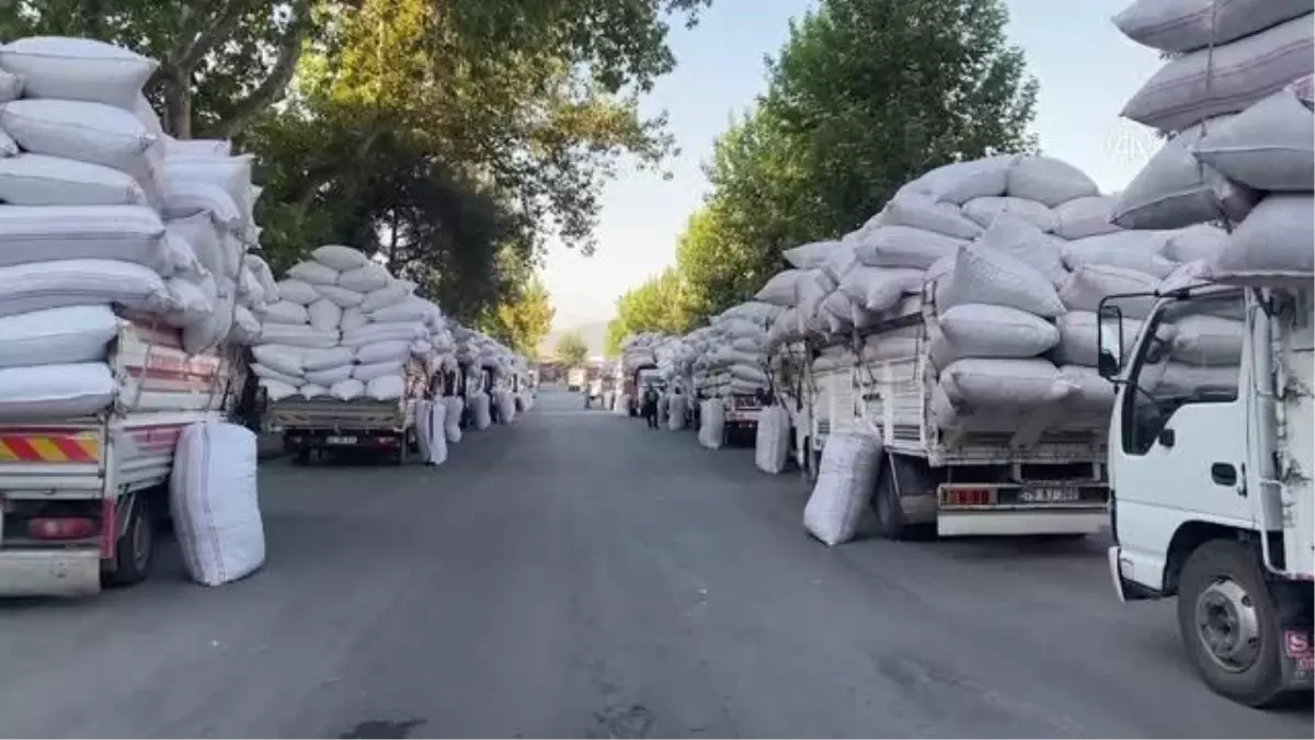 KAHRAMANMARAŞ - "Maraş biberi" mezatla satışa çıktı