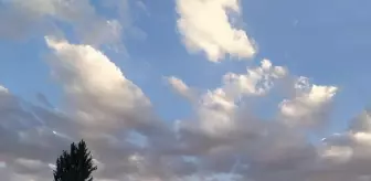 Ambulans helikopter ağaçtan düşen kişi için havalandı