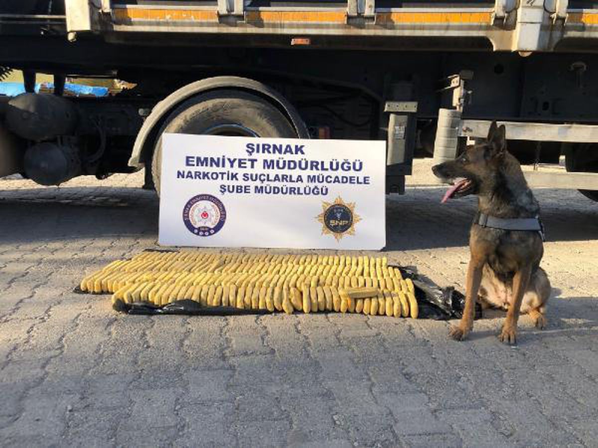 Şırnak\'ta kaçakçılık ve asayiş operasyonlarına 5 tutuklama