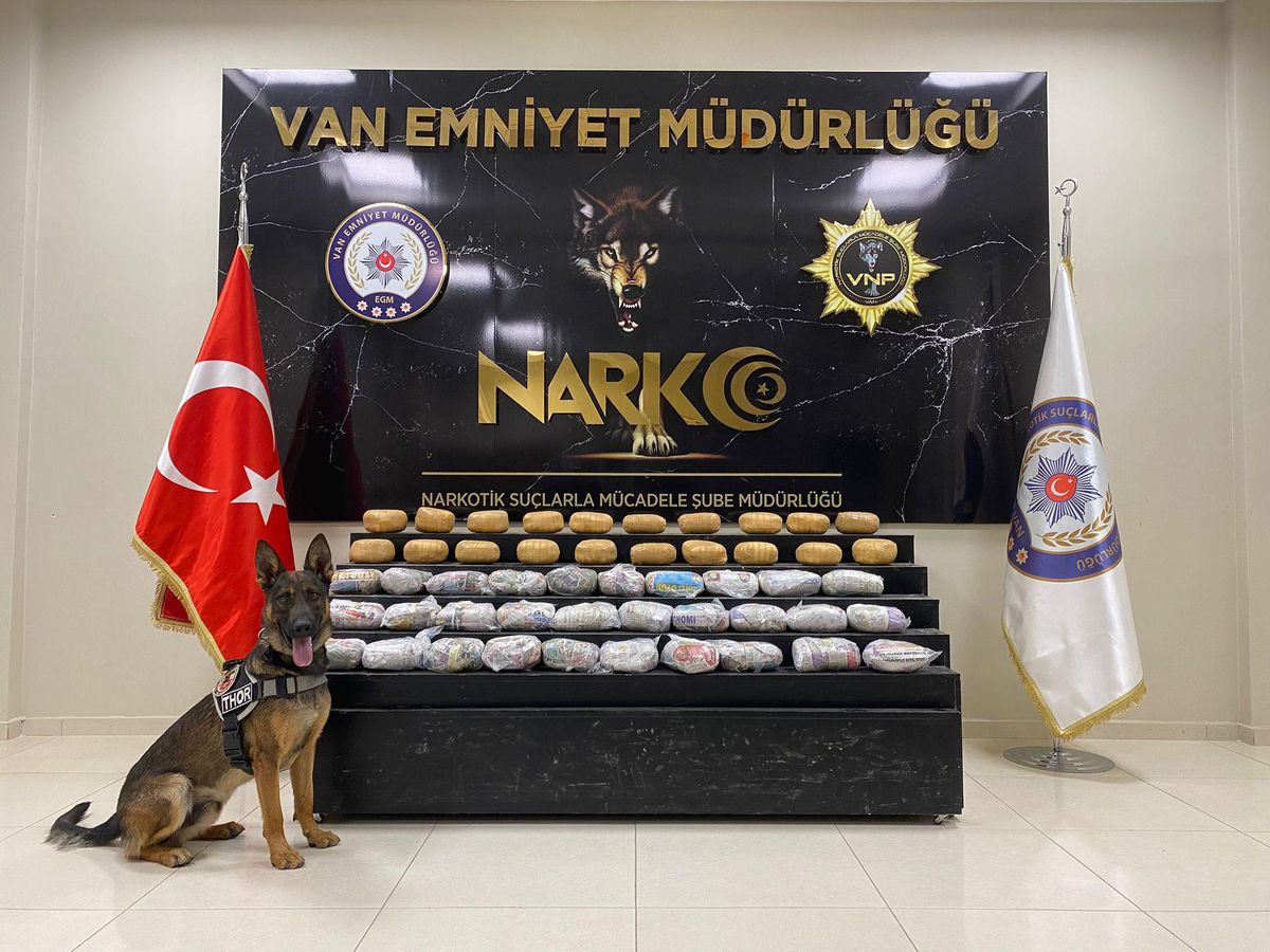 Van\'da 52 kilo 200 gram esrar ele geçirildi