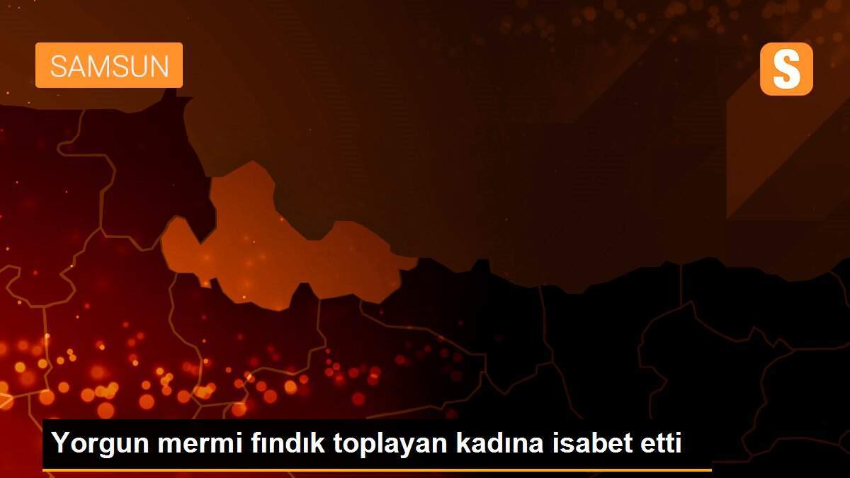 Yorgun mermi fındık toplayan kadına isabet etti