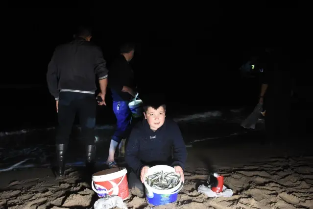 Böylesi ilk kez görülüyor! Karadeniz'de gece tonlarca balık kıyıya vurdu, 100 kilo 100 kilo topladılar Böylesi ilk kez görülüyor! Karadeniz'de gece tonlarca balık kıyıya vurdu, 100 kilo 100 kilo topladılar