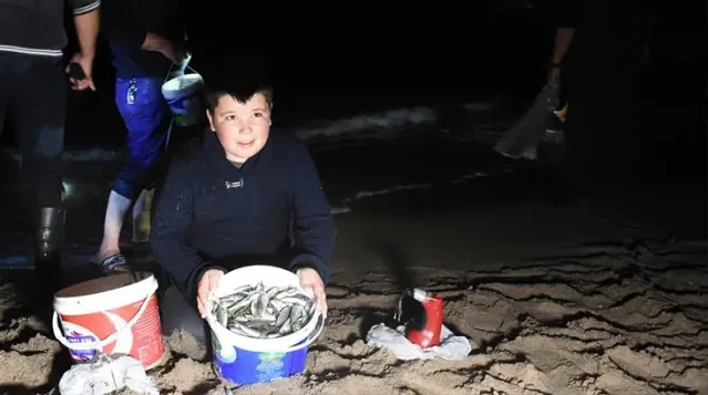 Böylesi ilk kez görülüyor! Karadeniz'de gece tonlarca balık kıyıya vurdu, 100 kilo 100 kilo topladılar Böylesi ilk kez görülüyor! Karadeniz'de gece tonlarca balık kıyıya vurdu, 100 kilo 100 kilo topladılar