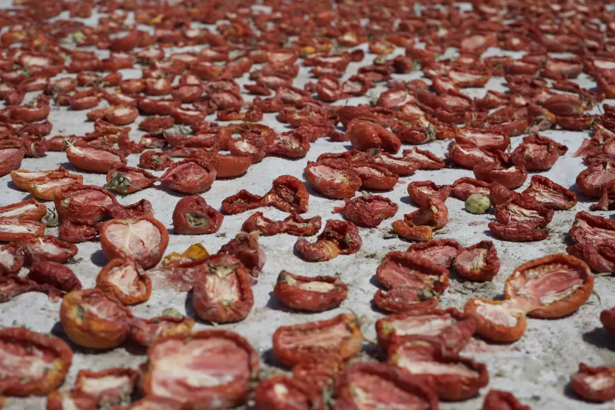 İtalyan spagettisinin sosu kurutulmuş Türk domatesinden