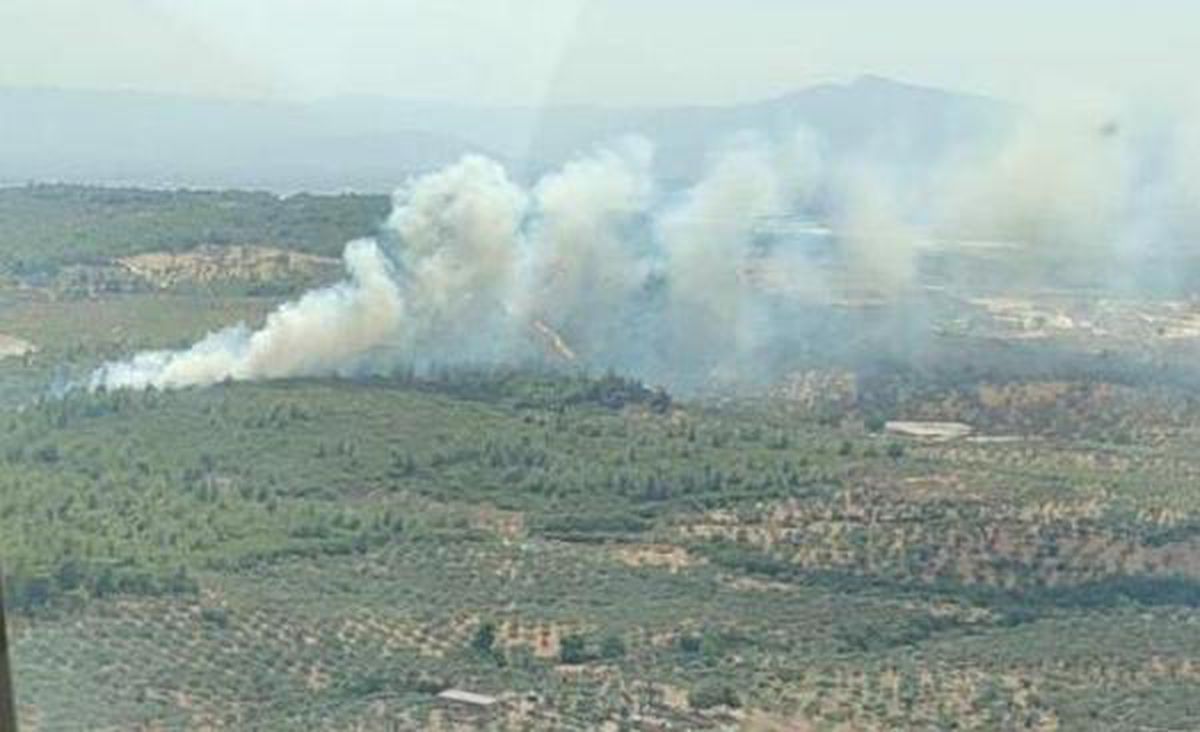 Son dakika gündem: İzmir\'de makilik yangını