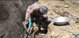 Son dakika haberleri | Kabil'de yaşayan Ahmed, geçimini dereden altın atıkları çıkararak sağlamaya çalışıyor