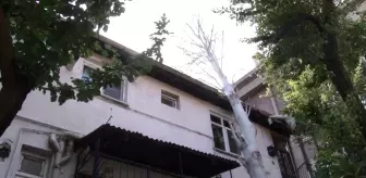 Maltepe'de şiddetli rüzgarda devrilen ağaç evin çatısına düştü