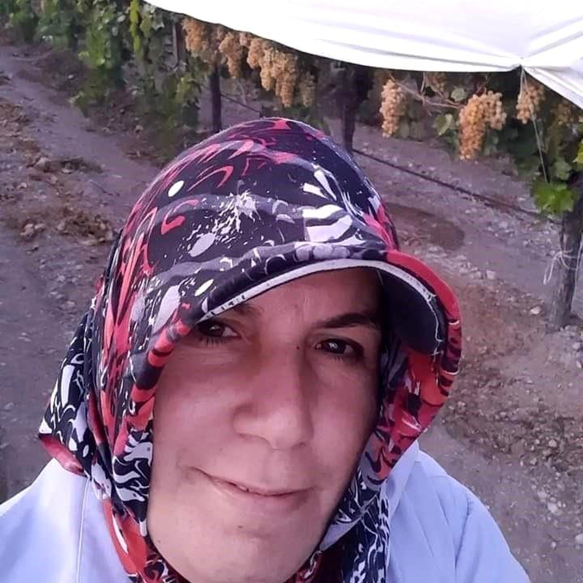 Minibüsün çarptığı tarım işçisi öldü