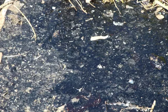 Petrol sızıntısı balıkçıları endişelendiriyor Petrol sızıntısı balıkçıları endişelendiriyor