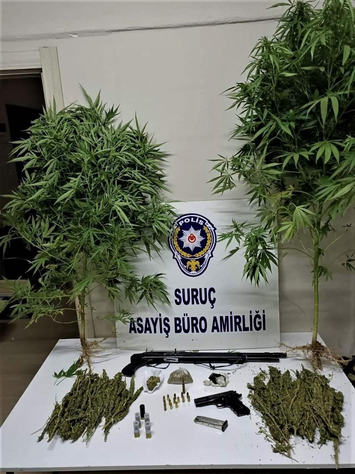 Şanlıurfa\'da uyuşturucu operasyonunda 1 şüpheli yakalandı