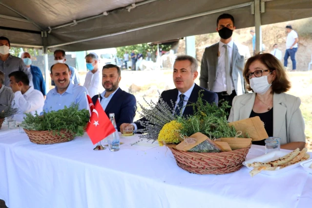 Adana'da tıbbi ve aromatik bitkilerin hasadı yapıldı