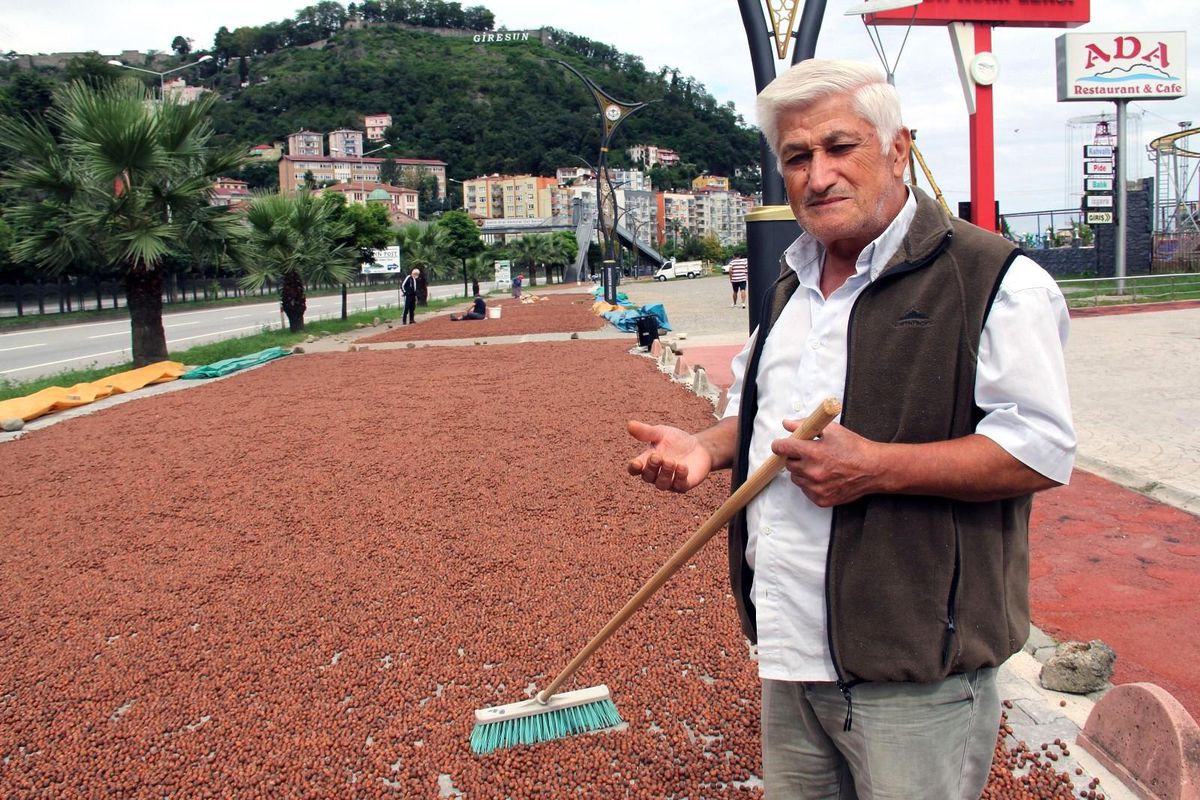Fındık üreticilerine "Ürününüzü satmak için acele etmeyin" çağrısı