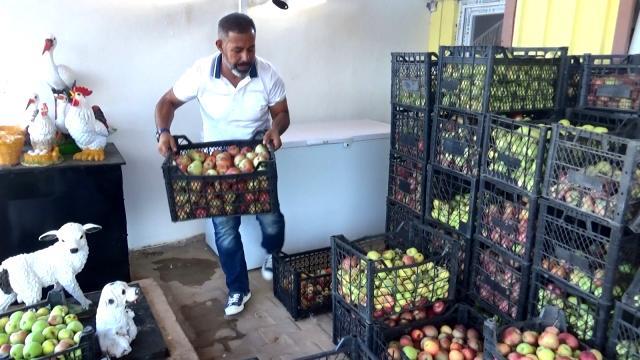 Fırsatçılara tepki gösteren Diyarbakırlı iş adamı, 30 tona yakın ürünü vatandaşlara ve martılara ücretsiz dağıttı