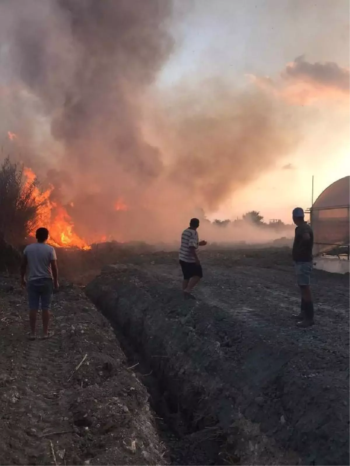 Son dakika haberi! HATAY\'DA SAZLIK ALANDA ÇIKAN YANGIN KORKUTTU