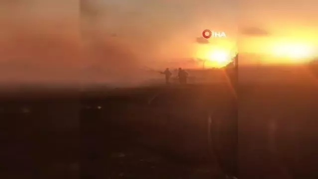 Hatay'da sazlık alanda çıkan yangın korkuttu