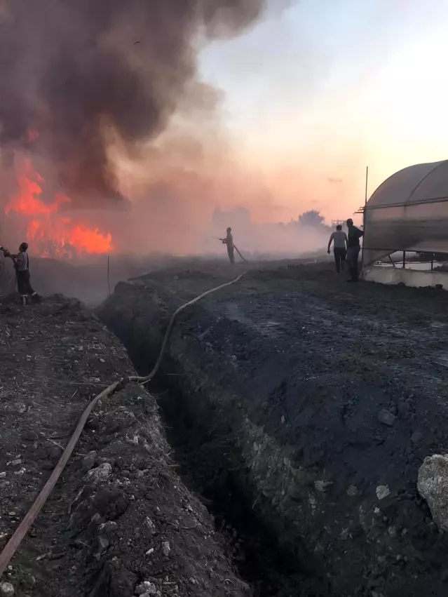 Hatay'da sazlık alanda çıkan yangın korkuttu