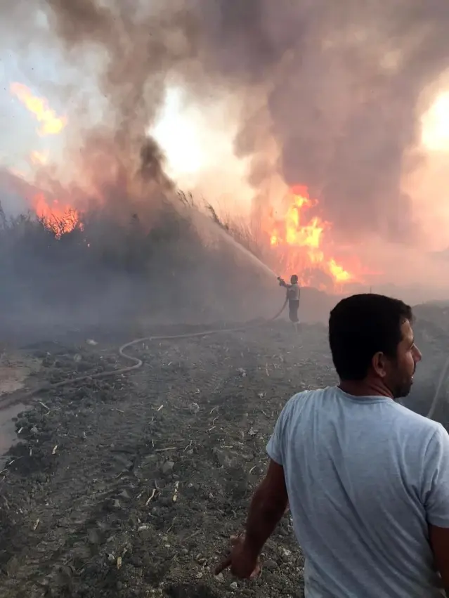 Hatay'da sazlık alanda çıkan yangın korkuttu