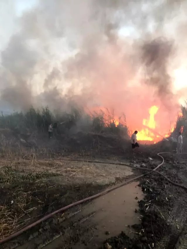 Hatay'da sazlık alanda çıkan yangın korkuttu