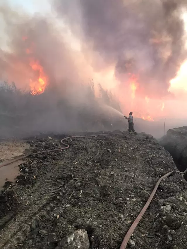 Hatay'da sazlık alanda çıkan yangın korkuttu