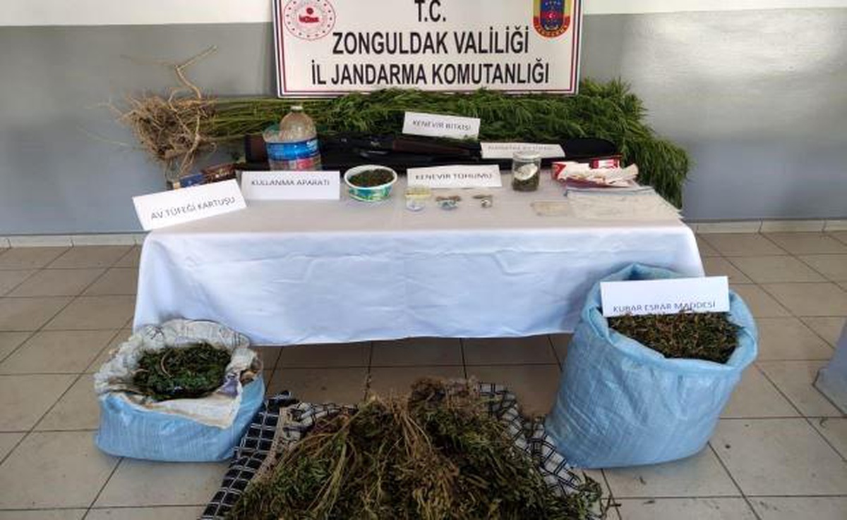 İzinsiz kenevir yetiştiren 2 şüpheli tutuklandı