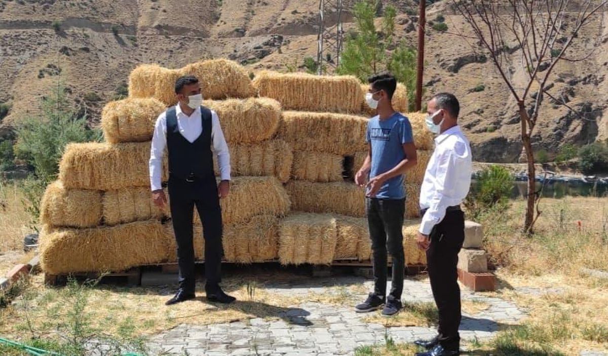Keban\'da Genç Çiftçi Projesiyle mantar yetiştirme tesisi kuruldu