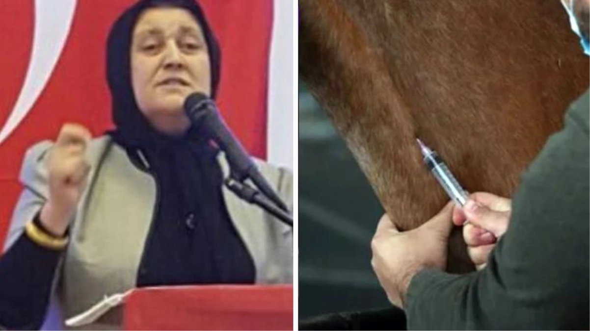 MHP eski milletvekili Nesrin Ünal korona ile ilgili garip öneride bulundu: Yılan zehrini at serumuyla karıştırın