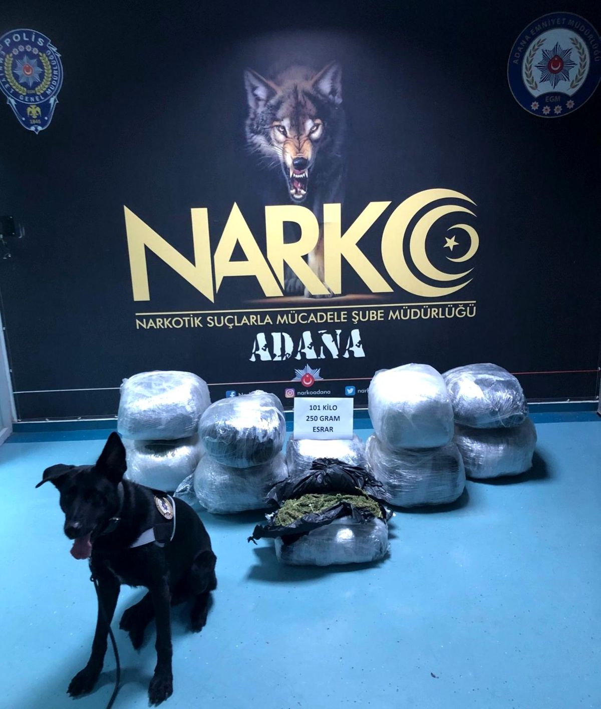 Sebze kasaları arasında 101 kilo esrar ele geçirildi
