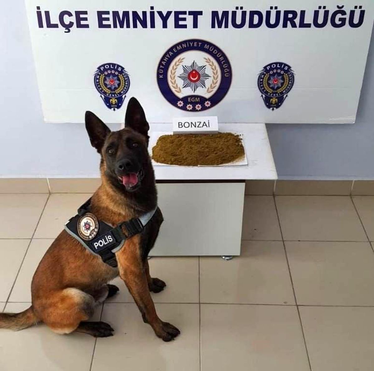Simav\'da uyuşturucu operasyonu