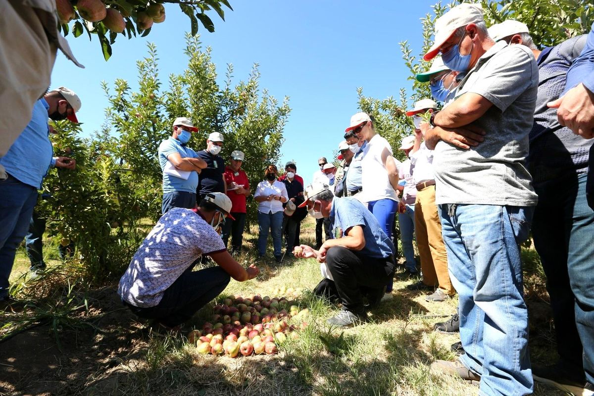 TARSİM, Isparta ve Antalya\'da toplantılar gerçekleştirdi