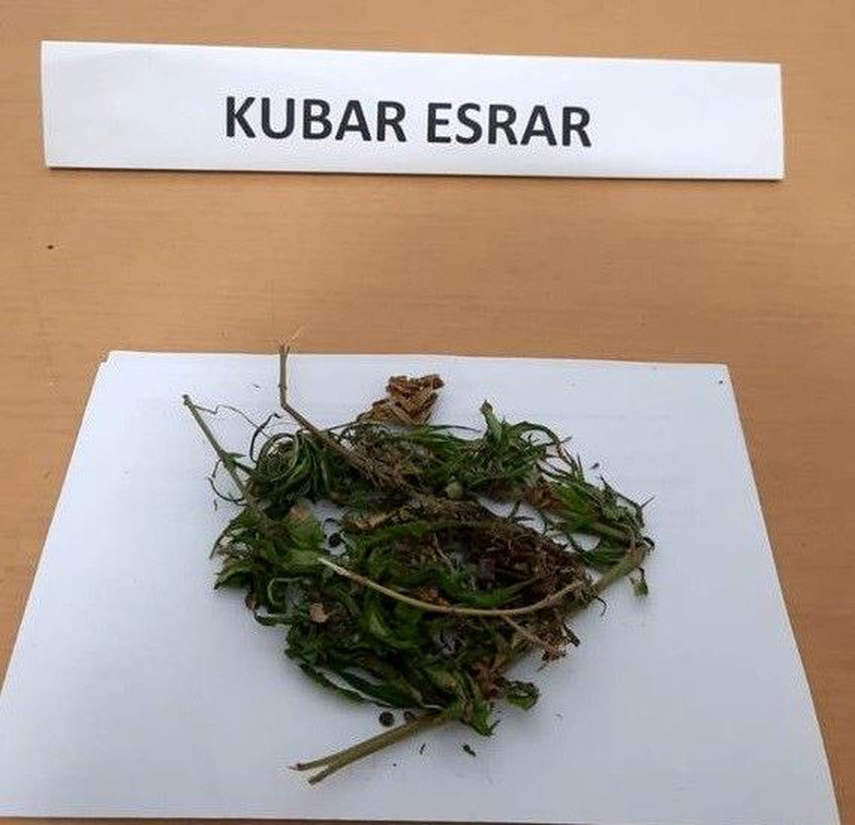 15 kök kenevir ve 690 gram kubar esrar ele geçirildi