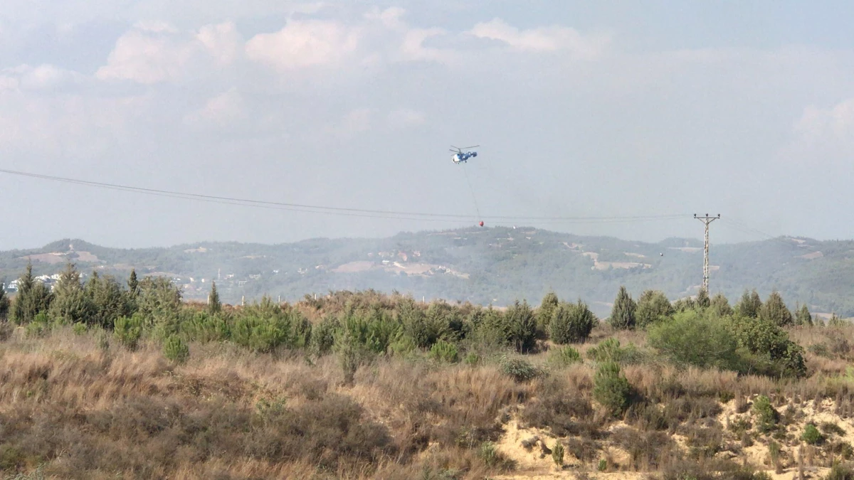 Son dakika... Adana\'da ağaçlık alanda çıkan yangın kontrol altına alındı