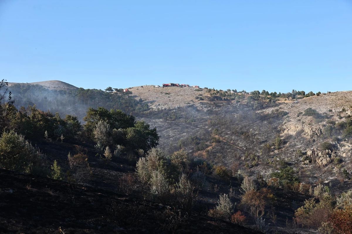 Ankara\'nın Çubuk ilçesindeki orman yangını kontrol altına alındı