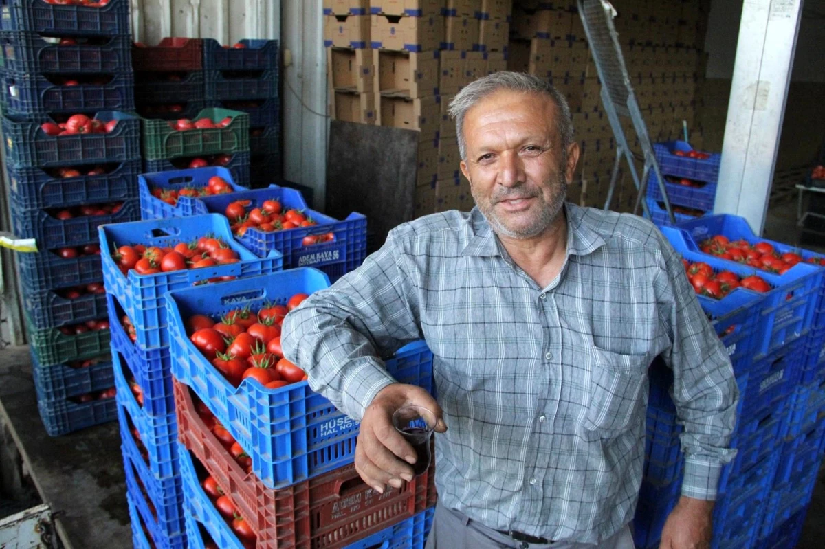 Antalya\'da domates ve biber üreticisinde Rusya sevinci