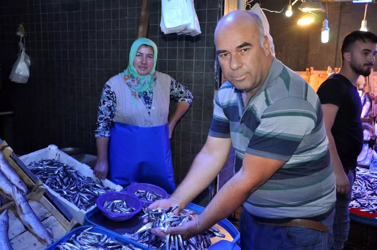 Balık sezonu açıldı tezgahları doldu taştı