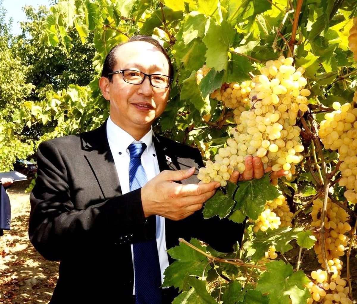 Japon Başkonsolos, Sarıgöl üzümlerine hayran kaldı