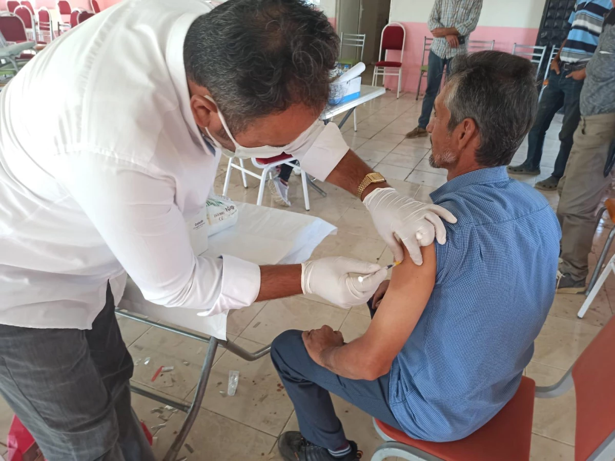 Osmaneli\'nde tarım işçilerine Kovid-19 aşısı yapılıyor
