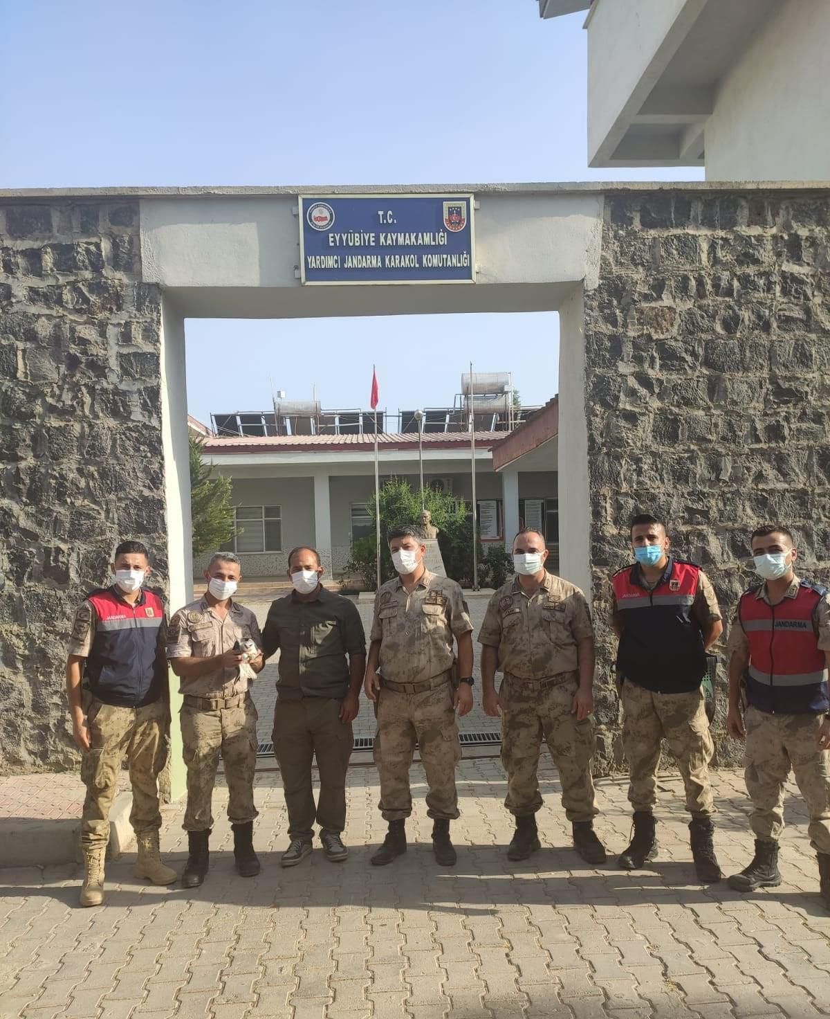 Şanlıurfa\'da yaralı bulunan ak çaylak tedavi altına alındı