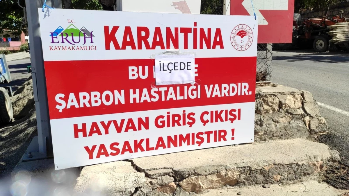 Siirt\'te şarbon tespit edilen Eruh ilçesi karantinaya alındı