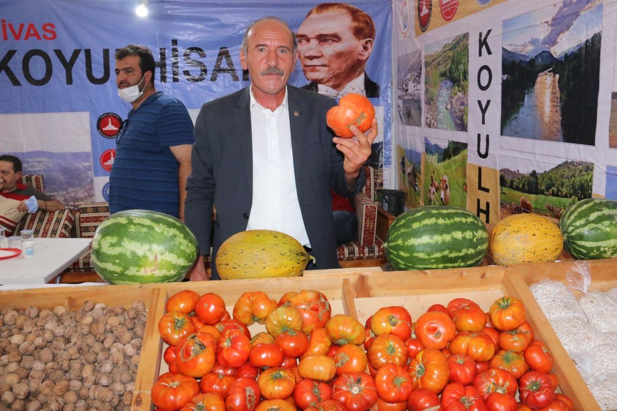 Sivas\'ta ata tohumundan üretilen "Koyulhisar domatesi" coğrafi işaret tescil belgesi aldı