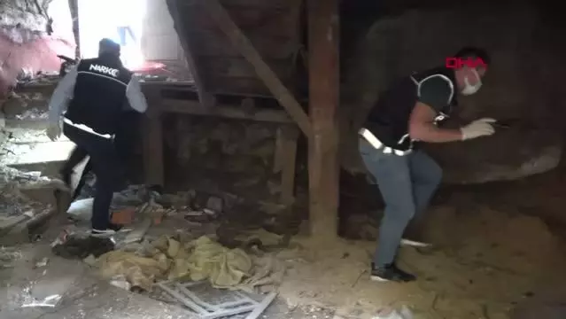 BOLU'DA METRUK BİNALARDA UYUŞTURUCU DENETİMİ BOLU'DA METRUK BİNALARDA UYUŞTURUCU DENETİMİ