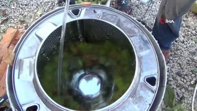 Çamaşır makinesini ceviz kabuğu soyma makinesine çevirdiler