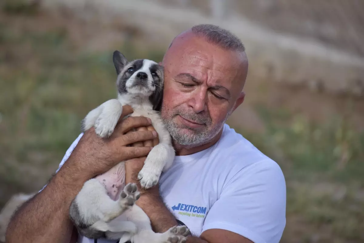 "Empati" adını verdiği karavanıyla şehir şehir gezen hayvansever "can dost"lara şefkat elini uzatıyor