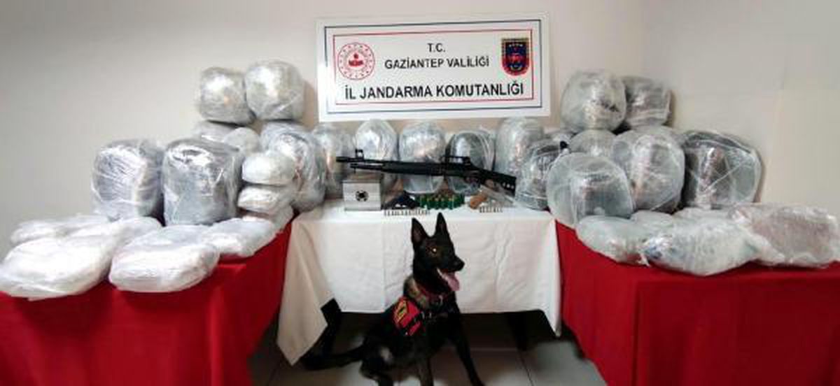 Son dakika haberleri! Gaziantep\'te 131 kilo esrara 5 gözaltı